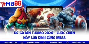 Đá Gà Bên Thomo 2026 - Cuộc Chiến Nảy Lửa Đỉnh Cùng MB88