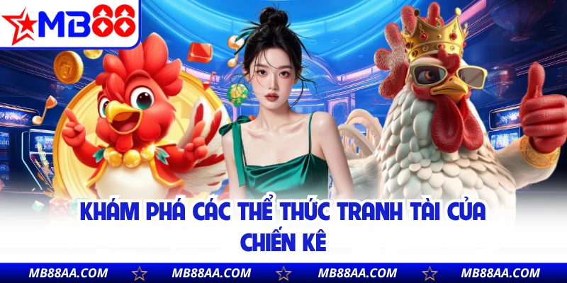Khám phá các thể thức tranh tài của chiến kê 