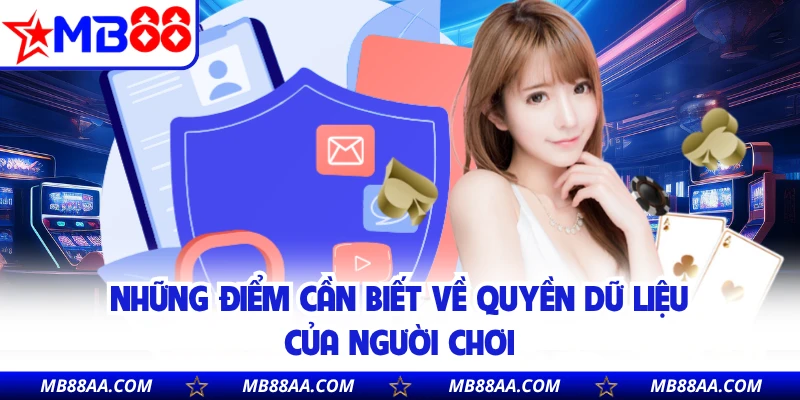 Những điểm cần biết về quyền dữ liệu của người chơi 