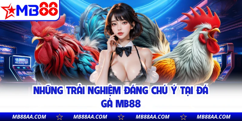 Những trải nghiệm đáng chú ý tại đá gà MB88